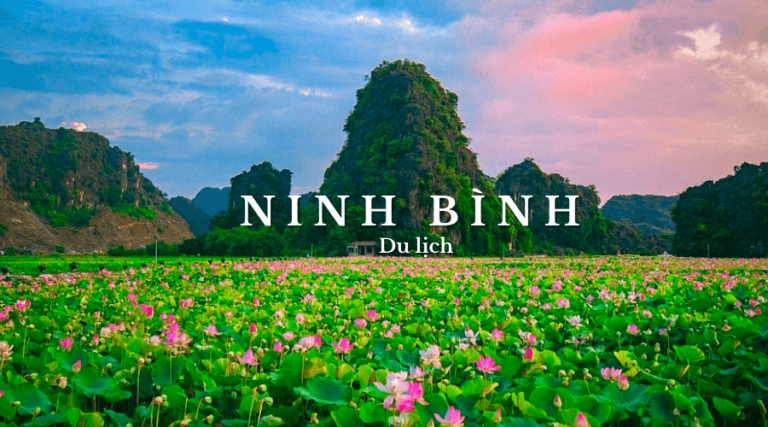 Top 8 địa điểm du lịch Ninh Bình nhất định không thể bỏ lỡ 
