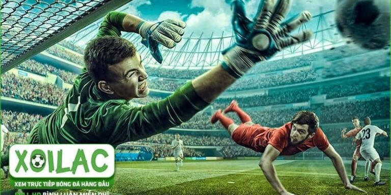 Xoilac365.tv cập nhật highlight bóng đá chất lượng cao hàng đầu hiện nay 