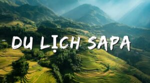 Các điểm tham quan ở Sapa: những nơi đẹp và đáng đi nhất