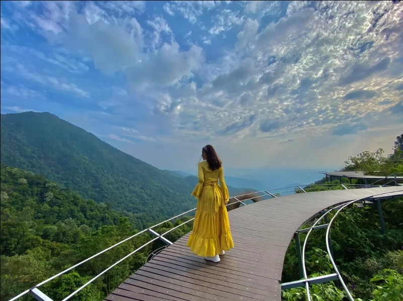 Cầu Mây Tam Đảo là điểm chụp ảnh lãng mạn với view núi, thung lũng và không gian nhiều mây vào sáng sớm. 