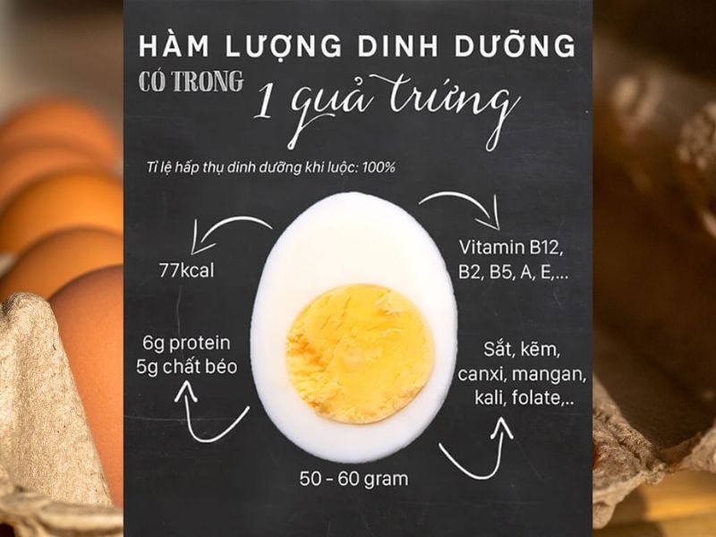 Trứng gà cung cấp protein, chất béo, vitamin và khoáng chất cần thiết cho cơ thể.