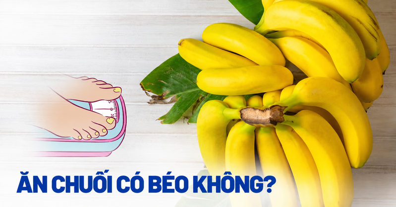 Ăn chuối không gây béo nếu kiểm soát khẩu phần và không vượt quá tổng calo trong ngày